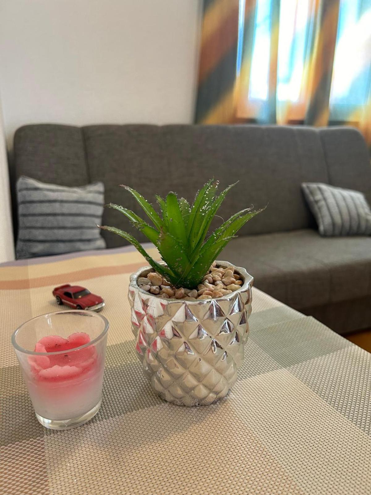 Apartmani Grgic 特罗吉尔 外观 照片